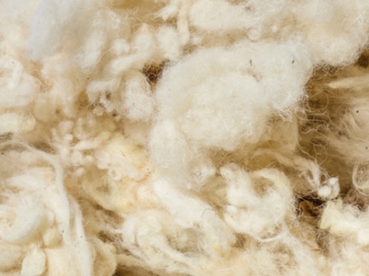 Woolin Schafwoll Flockenwolle 10 kg - Heim-Baustoffe